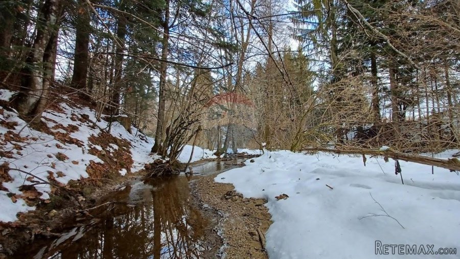 Leskova Draga - Šuma uz potočić površine 32524 m2 - 3