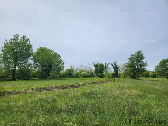 POREČ - Prodaje se građevinsko zemljište, 12000m2 - 4