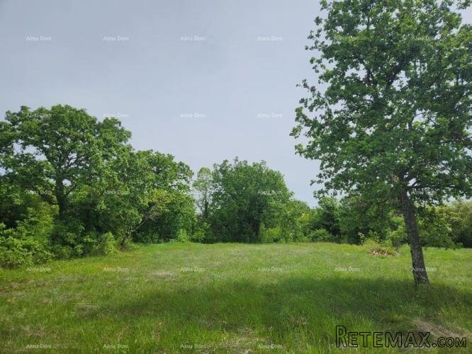 POREČ - Prodaje se građevinsko zemljište, 12000m2 - 5