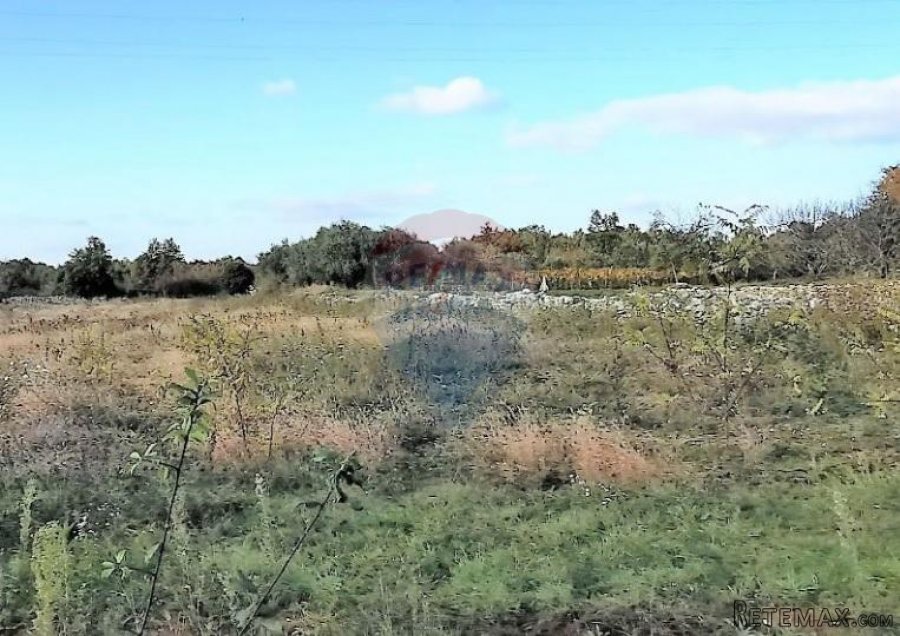 Istra, okolica Svetvincenta, gradjevinsko-poljoprivredna par - 3