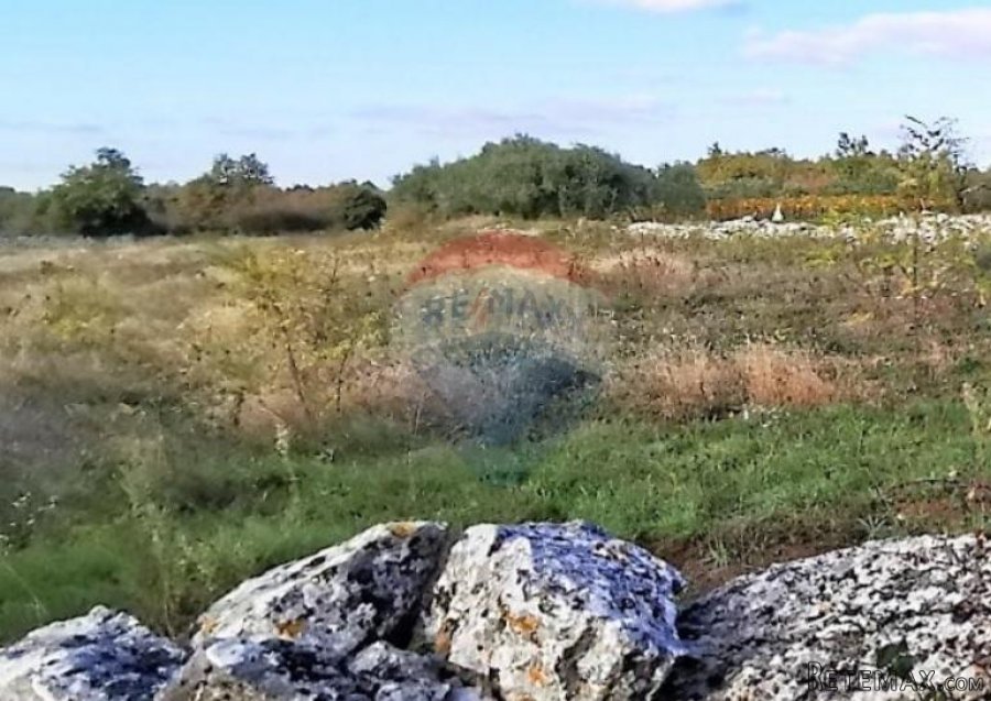 Istra, okolica Svetvincenta, gradjevinsko-poljoprivredna par - 4