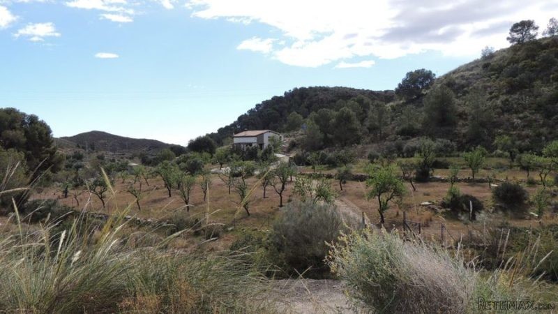 Cortijo / Country House in Bedar - 2