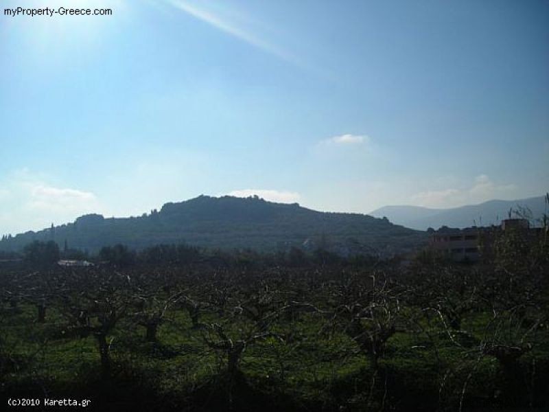 Land - Zakynthos - For Sale - 2