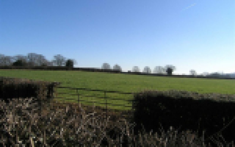 Longtown, Hereford - 2