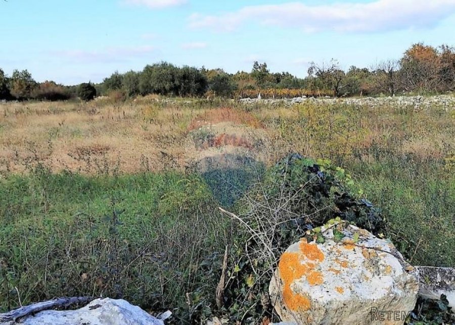 Istra, okolica Svetvincenta, gradjevinsko-poljoprivredna par