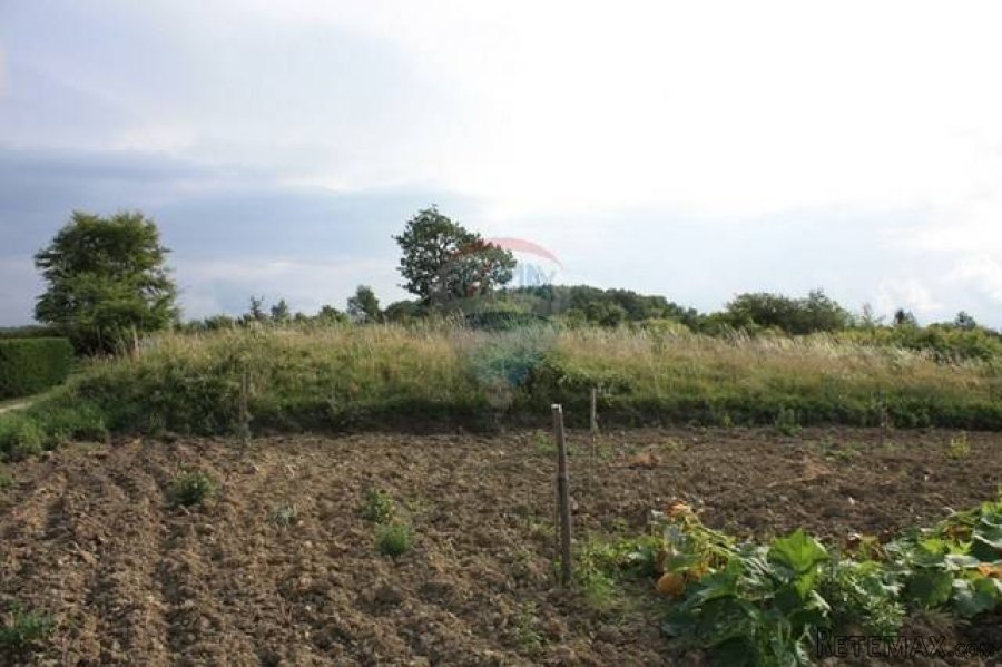 TRVIŽ - 1.428 m2 građevinsko zemljište u cijelosti - 4
