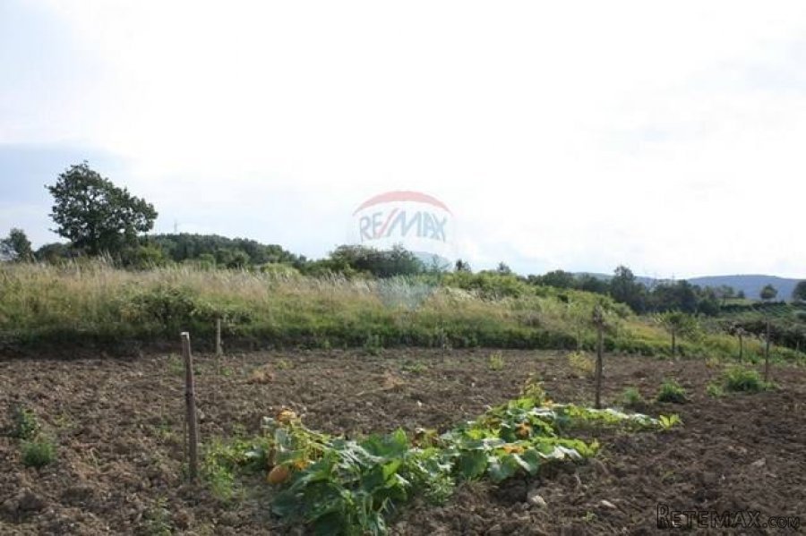 TRVIŽ - 1.428 m2 građevinsko zemljište u cijelosti - 5