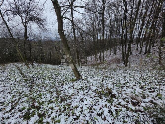 Građevinsko zemljište s projektom u netaknutoj prirodi, bliz - 3