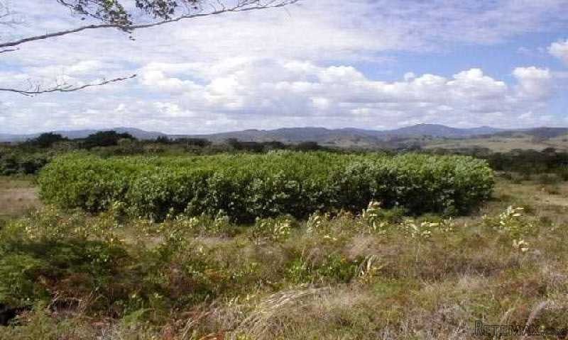 Farm In Rio San Juan With 55.000..
