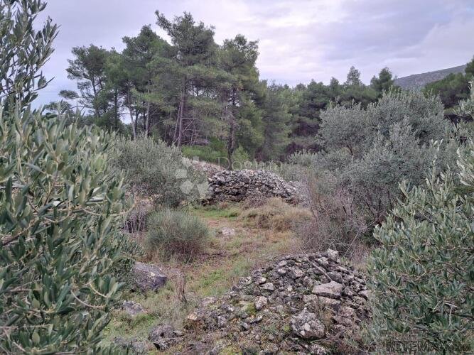 Poljoprivredno zemljište Jelsa 27000m2 - 3