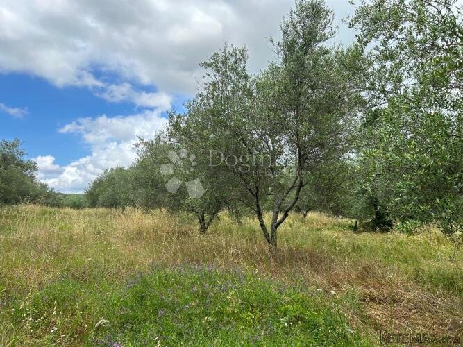 Poljoprivredno zemljište u vinogradarskom kraju - 3