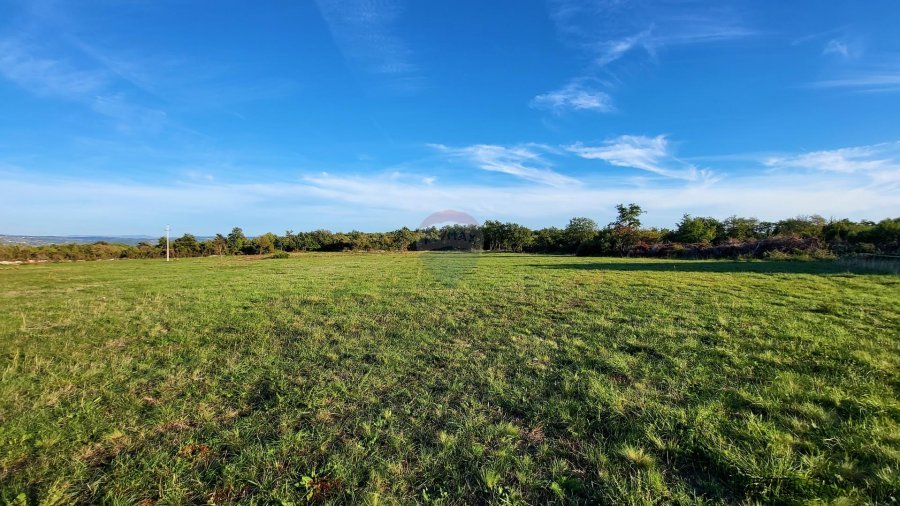 Istra, Savudrija, negrađevinsko zemljište s pogledom na more
