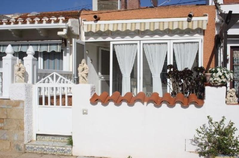 Palmeras, Estrella de Mar