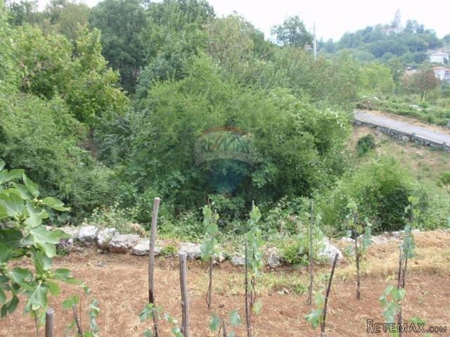 RUKAVAC - zemljište od 800 m2, pogled! - 7