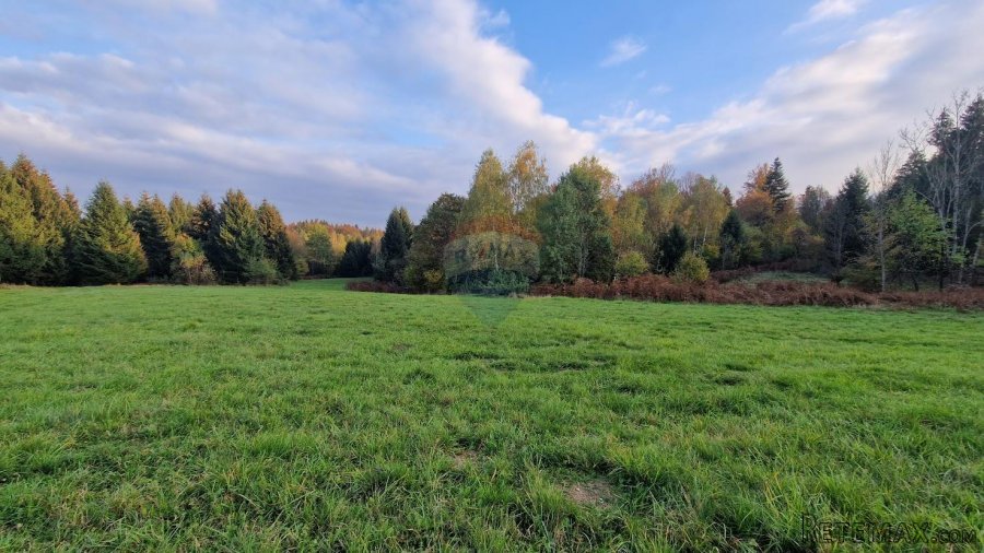Gorski Kotar-Vrbovsko/poljoprivredni teren 5.200 m2