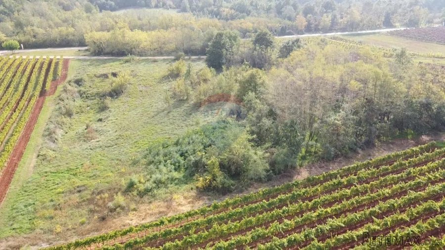 Istra, Vižinada okolica, negrađevinsko zemljište 8200 m2