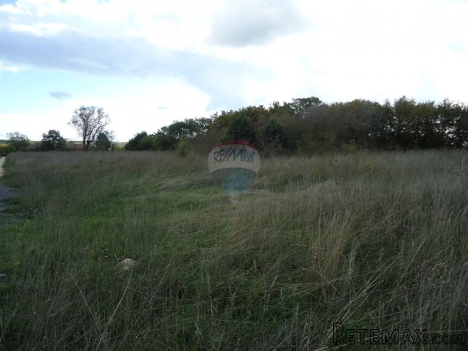 MARČANA, GRAĐEVINSKO ZEMLJIŠTE NA MIRNOJ LOKACIJI - 3
