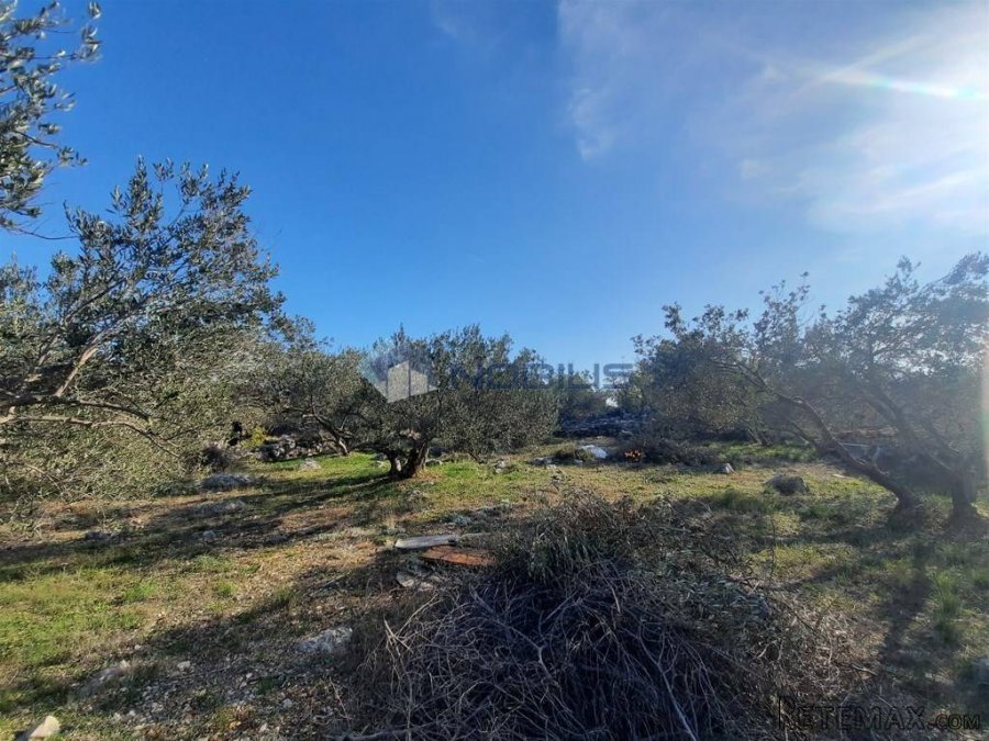 Šibenik, Vodice, mala kamena kuća s maslinikom na 1840m2 - 6