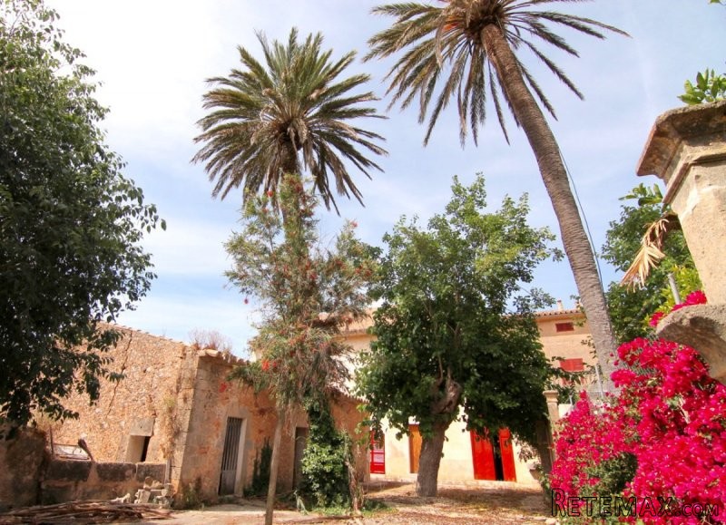 Elegant palace in Santa Maria del Cami