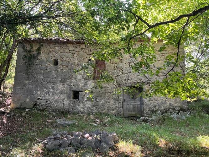 STARINA SA POTENCIJALOM ZA ODLIČAN PRIHOD