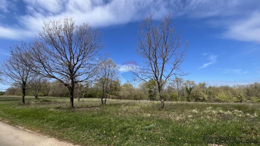 Istra, Sveti Lovreč, građevinsko zemljište 691 m2 - 2