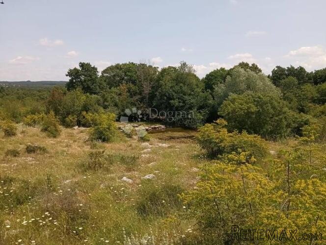 Poljoprivredno zemljište 1315m2 - 2