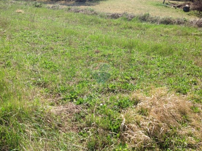 Buzet, zemljište pred urbanizacijom,2,5km do granice sa... - 4