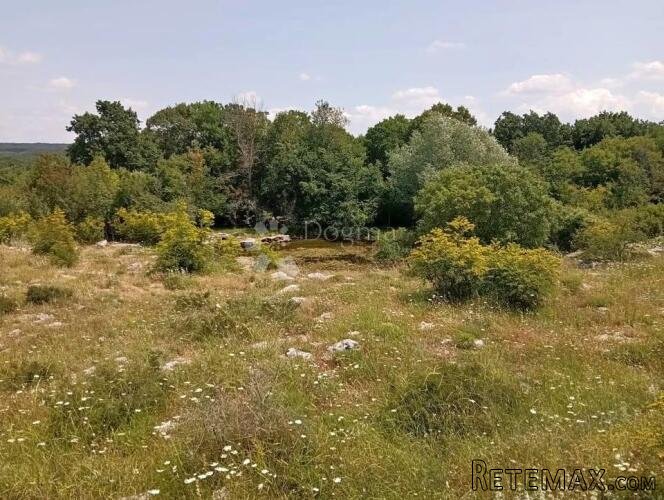 Poljoprivredno zemljište 1315m2 - 2
