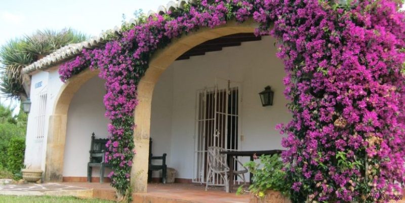3 Bedroom, 2 Bathroom, Traditional..