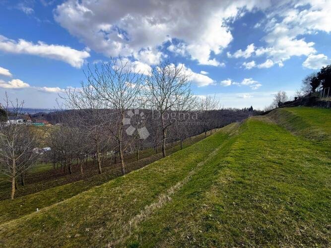 6495 m² prirodne ljepote - 16 terasa, 117 oraha i dva prilaz
