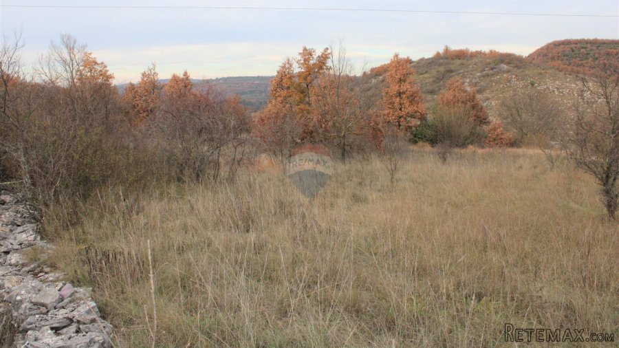 Istra,okolica Momjana, građevinski teren - 3