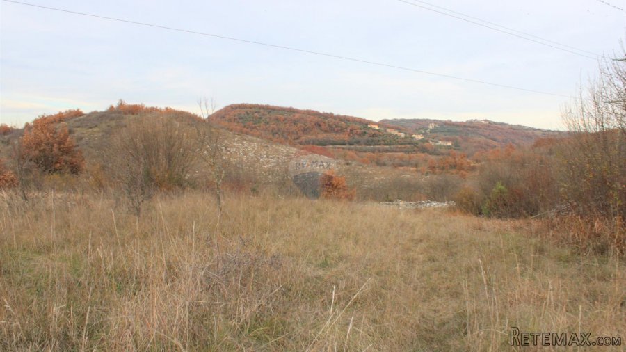 Istra,okolica Momjana, građevinski teren - 4