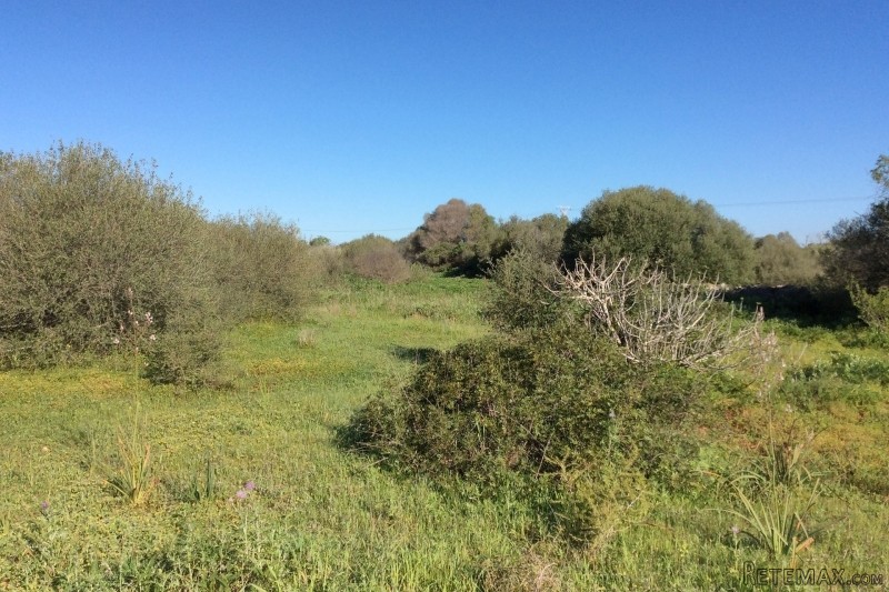 Plot in Sa Torre Nova, Cala Santanyi