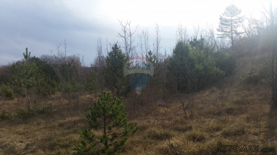 POLJOPRIVREDNO ZEMLJIŠTE- LABIN! - 3