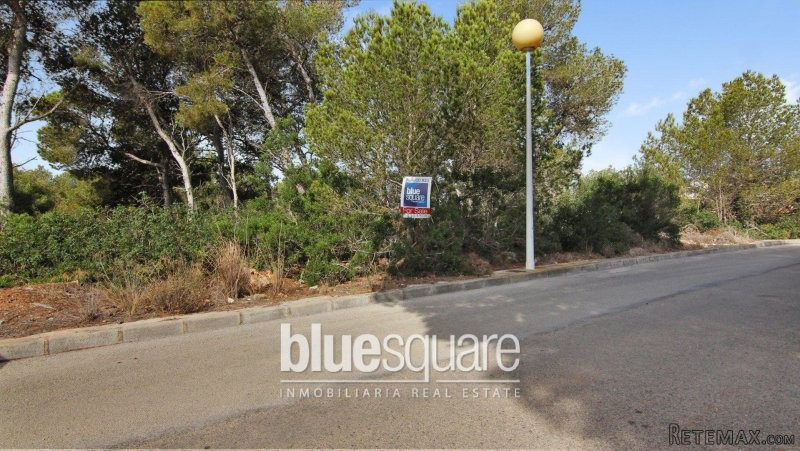 Sought after plot in excellent..