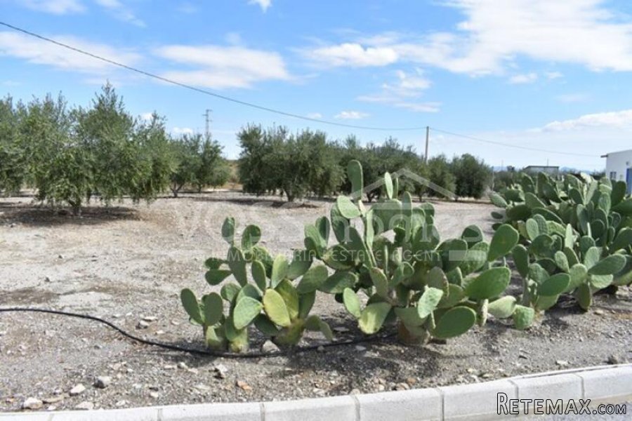A lovely, very well kept country property of 274m2 with 3.. - 6