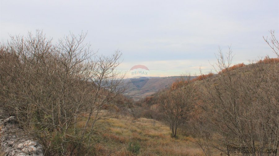 Istra,okolica Momjana, građevinski teren - 6