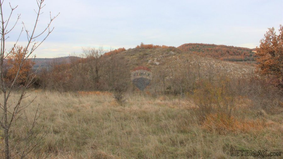 Istra,okolica Momjana, građevinski teren - 7