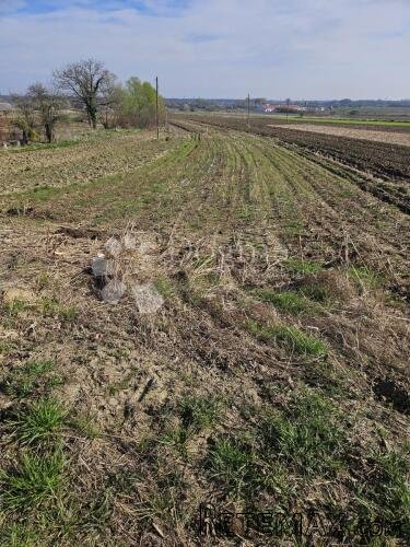 Građevinsko zemljište u Beretincu - 3