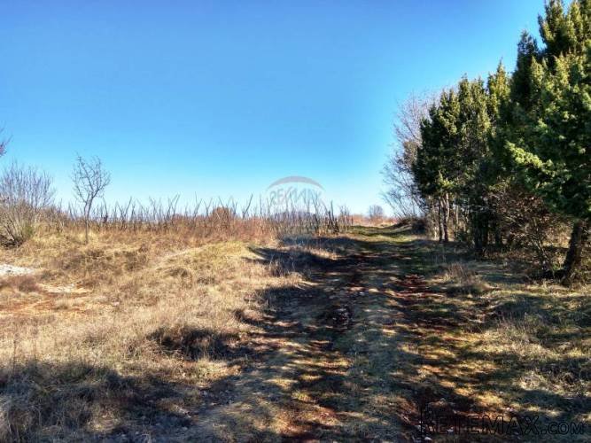 Istra, Štokovci - građevinsko zemljište 2899m2