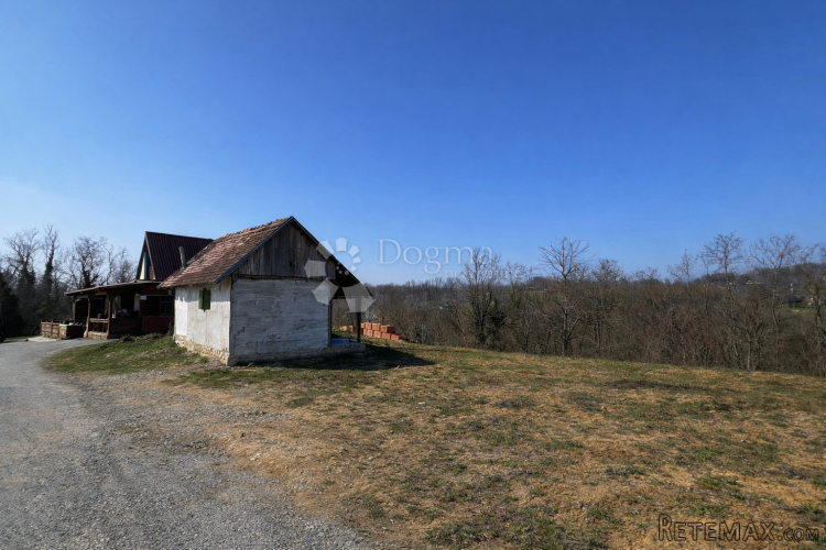 Šarmantna kuća za adaptaciju, ŠUMA, prodaja, vikendica