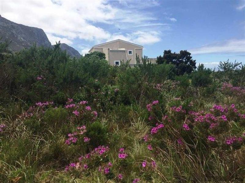 Bettys Bay Vacant Land, Bettys Bay - 2