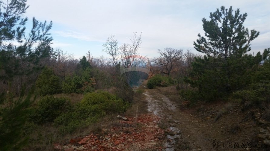 POLJOPRIVREDNO ZEMLJIŠTE- LABIN! - 2