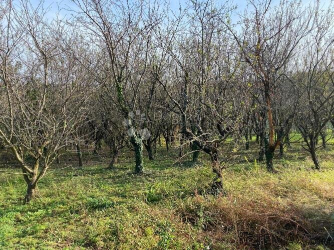 Zemljište u Črešnjevu - 2