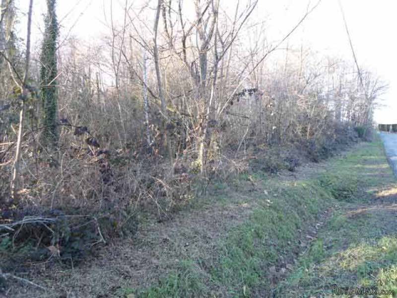 6140m2 Building Plot With Wooded Garden - 2