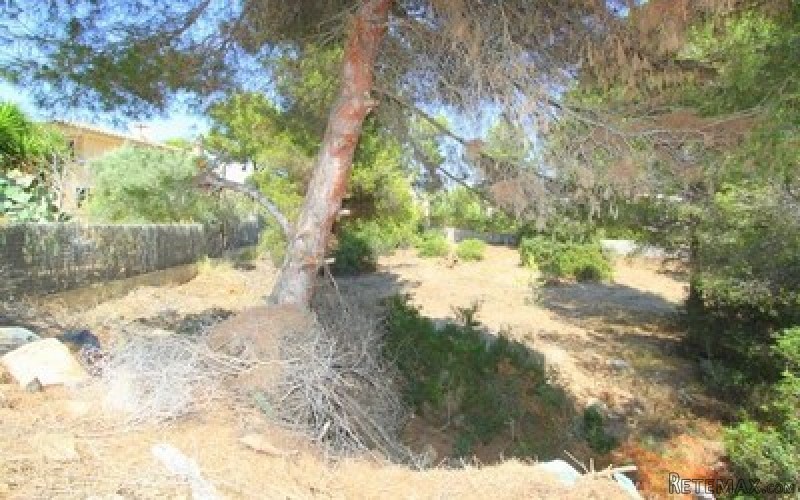 IP3-737 - Plot For sale in Nova Santa..
