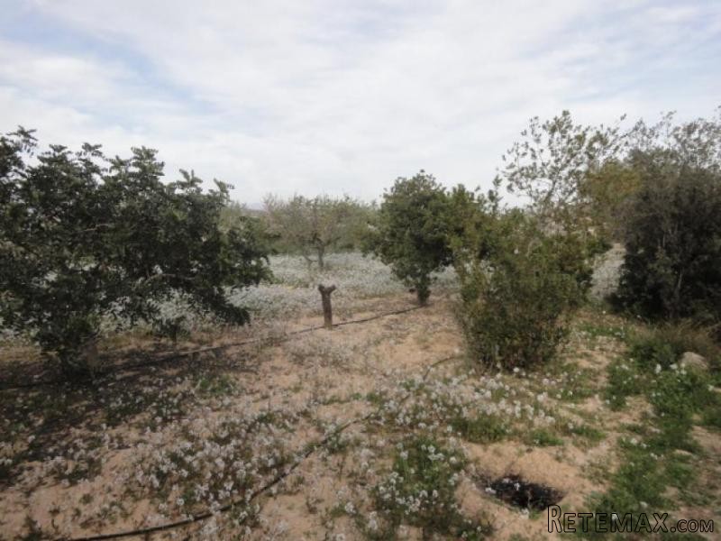 Villa close to Aspe (Ref. PV1758) - 2