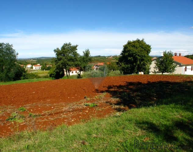 VIŽINADA, GRAĐEVINSKA PARCELA 5000 M2 S PREKRASNIM POGLEDOM