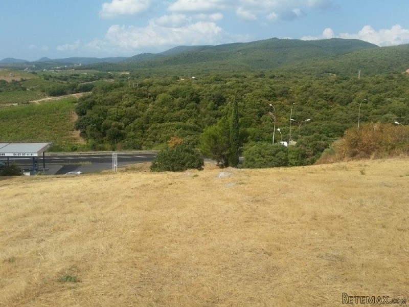 Land Of 9397 M2 Including A.. - 2