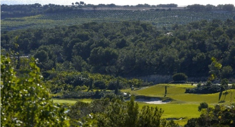 Land For Sale In Campoamor Spsnb0987 - 2